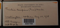 Image Associated With the Occurence